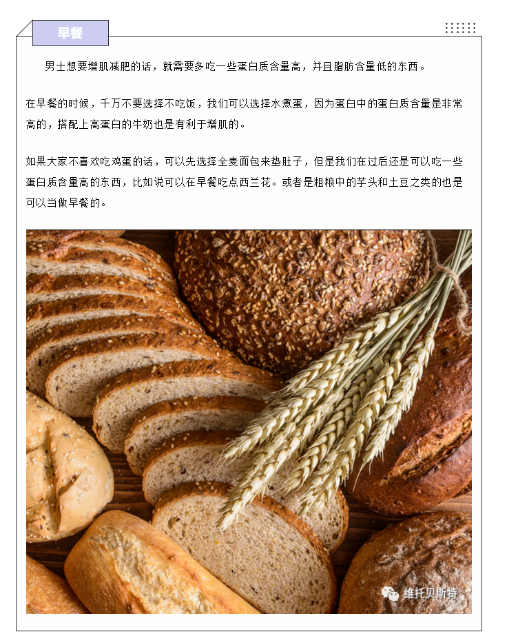 维托贝斯特
